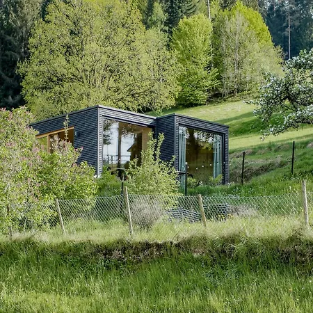 Design House In Black Forest Near * 바이에르스브론