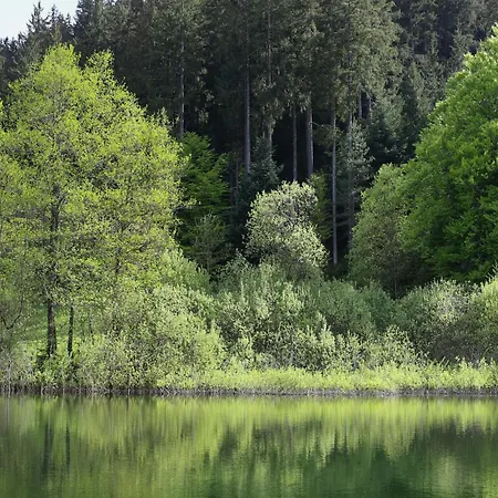بيت للعطل Design House In Black Forest Near بيرسبرون