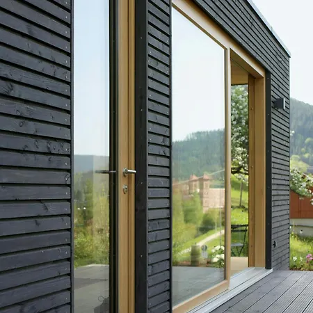 Design House In Black Forest Near *