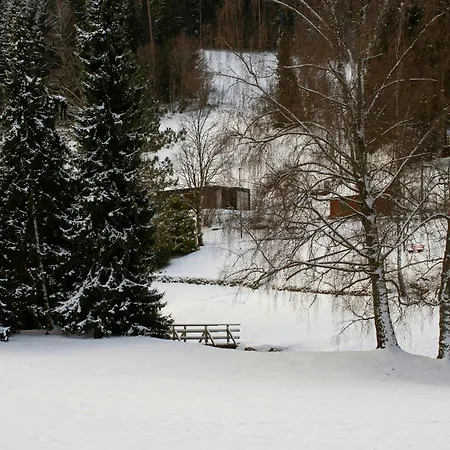 Design House In Black Forest Near 바이에르스브론