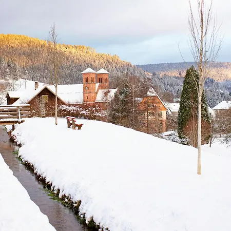 Design House In Black Forest Near Baiersbronn